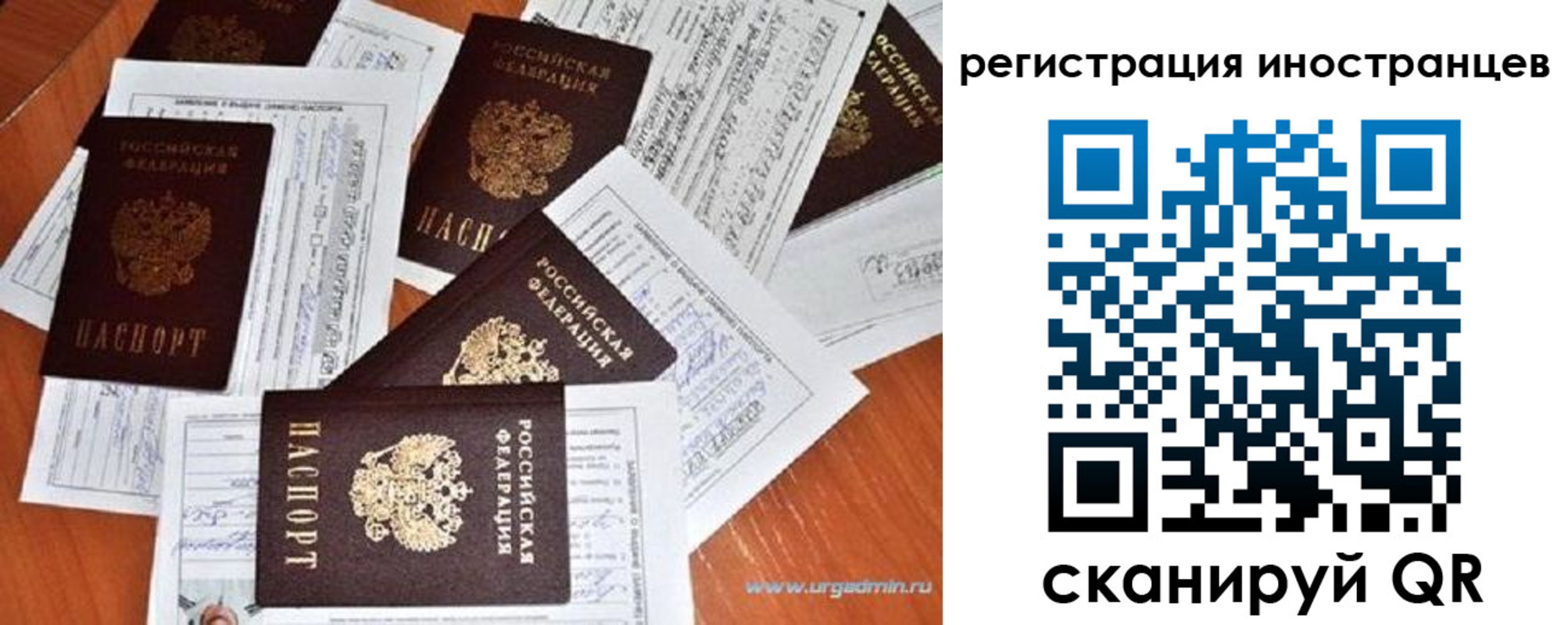 временная регистрация гарантия в Невеле